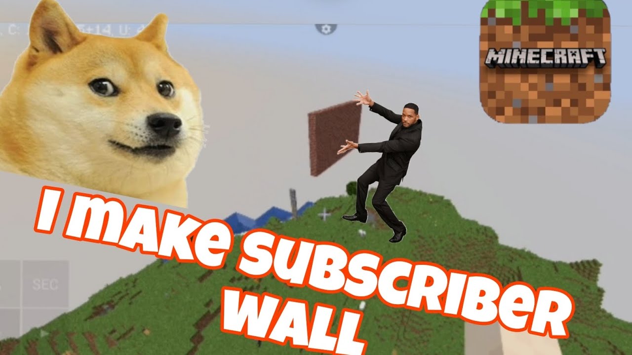 I make subscriber wall in loll smp 