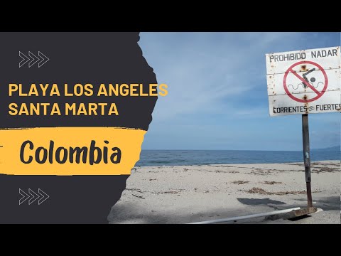 Nos sorprendió lo que encontramos