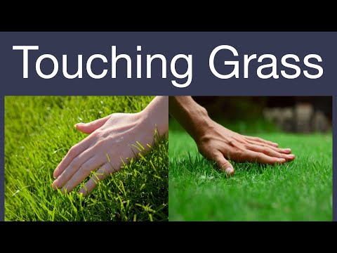 O que significa to touch some grass? - Pergunta sobre a Inglês (EUA)