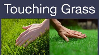 TOUCH GRASS - O que significa essa expressão idiomática? 