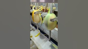 Unbelievable Automatic Fruit Peeler 🍎🍊 | So Satisfying!
