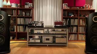 Blackwater - Rain Tree Crow