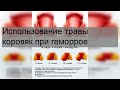 Использование травы коровяк при геморрое