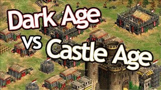 Dark Age... vs Castle Age!?