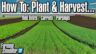 How To Plant & Harvest - Carrots, Parsnips, & Red Beets | Farming Simulator 22