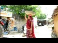               rajasthani comedy