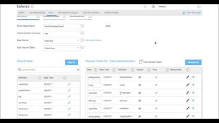 Halosys: HTML5 App creation with Full NetSuite Demo