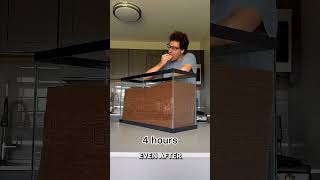 He Spent 16 Hours Eating Chocolate… But The Ending Was Sad 😢 | MrBeast Feastables Challenge #shorts