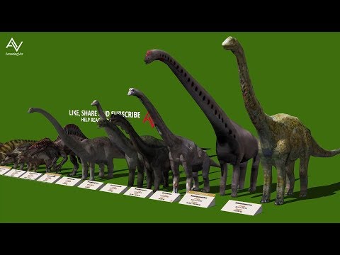 Dinosaur Size Comparison 3D - Smallest to Biggest