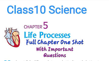 Class10 Science Ch 5 Life Processes FULL CHAPTER New book line by line Explanation