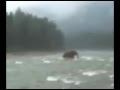 Mammoth Raksasa Terekam Kamera Menyusuri Sungai Siberia