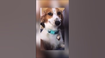 Easy 1v3 with just a pistol (Warzone 3) #shorts