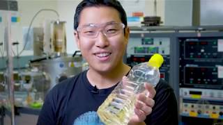 My Digital Career: Michael Seo