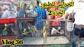 الحراش للطيور 2021 أسعار كل أنواع الطيور الحزء 2