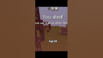 Trolling at different ages in Minecraft ( World