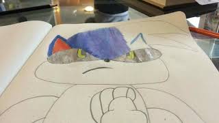 Time-lapse Sonic