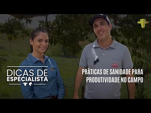 PRÁTICAS DE SANIDADE PARA PRODUTIVIDADE NO CAMPO | DICAS DE ESPECIALISTA
