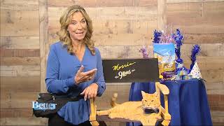 Morris The Cat Turns 50!