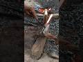 viralvideo blacksmith #globalblacksmith #viralblacksmith #medievalblacksmith #ironwork #workout