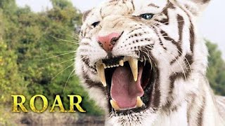 Roar Tiger Scene Best Scene Movie From Hollywood