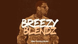 Breezy Blendz Mixtape 🔥 | Chris Brown Mashups (Breezy Bowl Tour Special)
