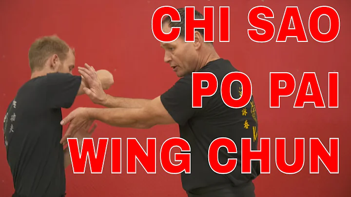 Chi Sao: 13 Basics PT 6 + 7 + 8 w Po Pai