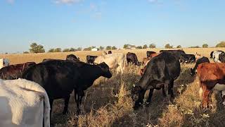 How we can get the next generation into farming (borrowing money is not the way!)