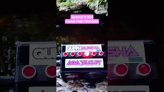 Sasak Raja Mandala $ #basuri #telolet #busmania #shorts #automobile #trending #shortsviral