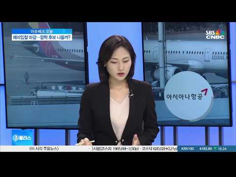 [이슈체크] 아시아나 인수 3파전…연내 매각 가능할까?