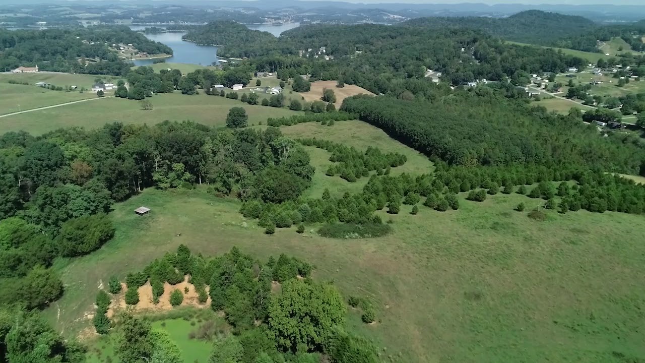 Lakeshore Drive, Talbott, Tennessee YouTube