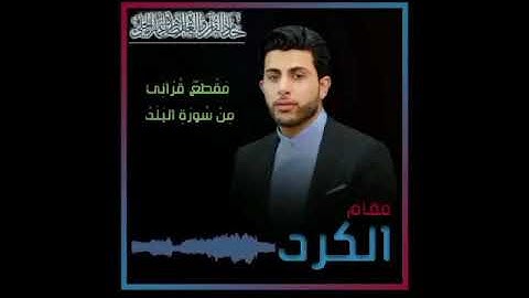 القارئ عمار الحلي
