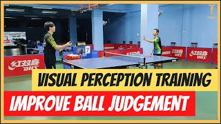 Visual perception training