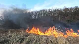 March 30, 2026 - Port Jefferson Harbor - Brush Fire