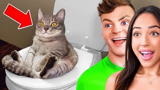 Extreme Try Not To Laugh Challenge!
Extreme Try Not To Laugh Challenge! Leave a like if you enjoyed! Subscribe and enable post notifications :)
@couplesreact
YouTube: @jackpayne & @Affafy Extreme Try Not To Laugh Challenge!