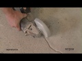 Cómo reparar grietas del piso con Instapatch | Rust-Oleum Flooring Solutions
