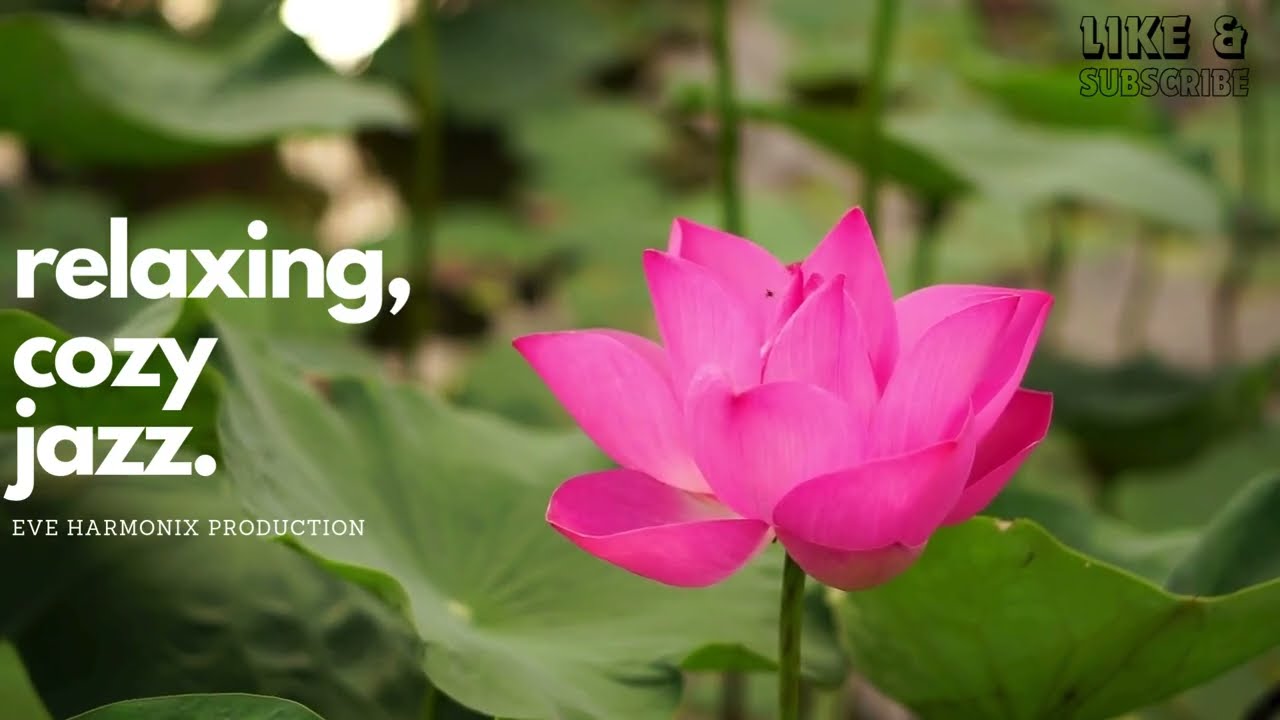 Romantic Jazz Piano Compilation 🌸 Slow Tempo Café Music for Relaxing & Dreamy Atmosphere