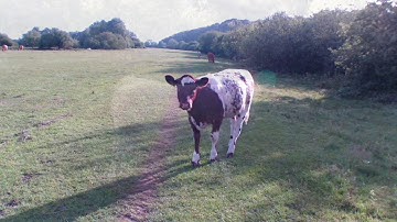 Gunthorpe, Caythorpe & Hoveringham Walk