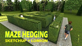 How To Do Landscape Maze Hedging | SketchUP + Lumion