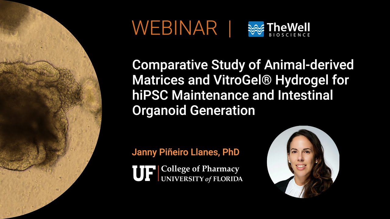 Intestinal Organoid Generation & hiPSC Maintenance - Comparative Study of Animal ECM and VitroGel®