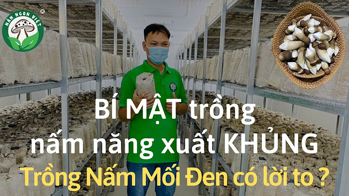 Có bao nhiêu nơi làm nấm trên việt nam