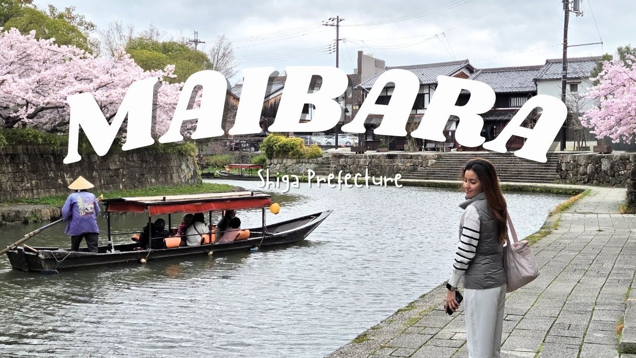 Exploring MAIBARA Shiga Japan, Hidden Cherry Blossom Spots | Mari
