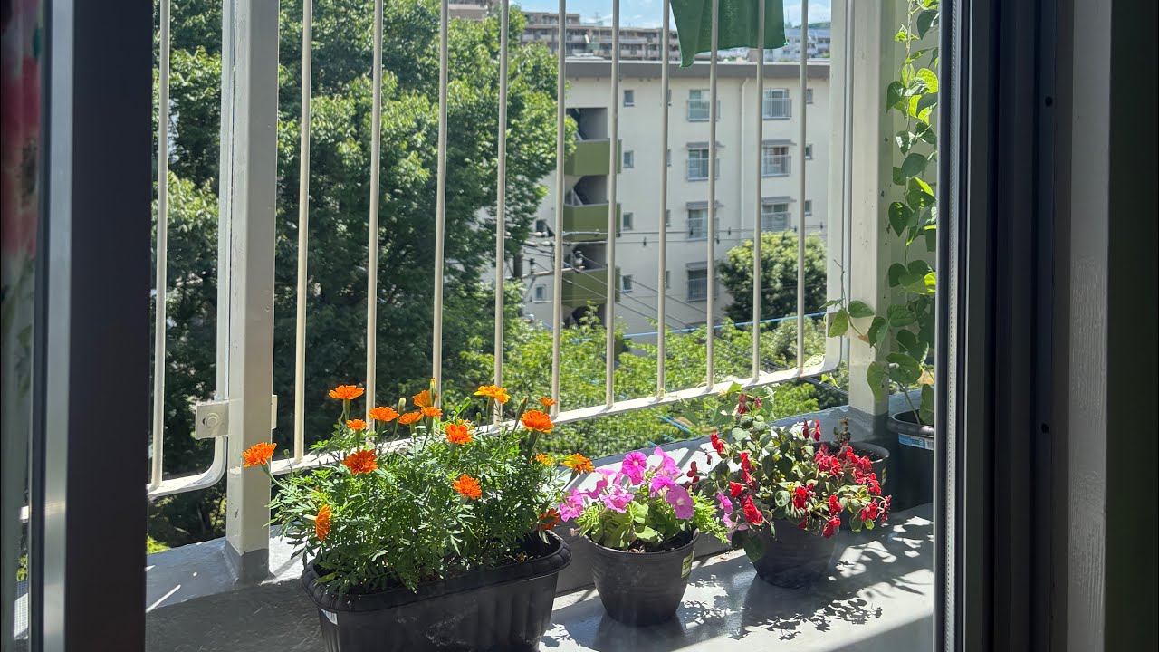 Tiny Harvest, Big Happiness in Japan 🌱 | Kitchen Garden Vlog