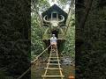 I Built a Secret Bamboo Treehouse | Beautiful Handmade Bamboo Craft#bamboohouse #short#ox..