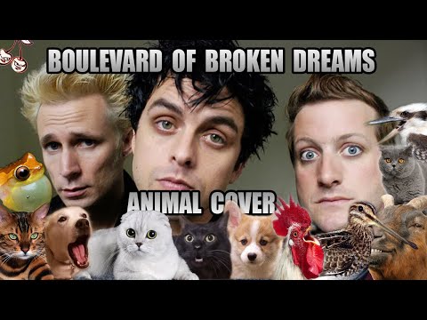 Green Day - Boulevard Of Broken Dreams Animal Cover