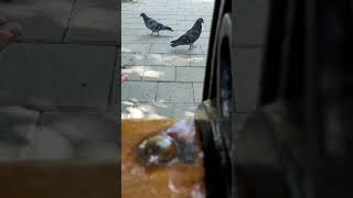 25 Июня 2021 Г.