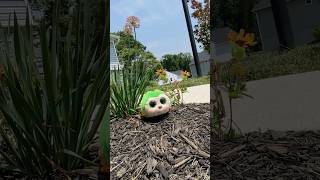 Beanie Boo Pilar is bright and colorful soaking up the sun! #shorts #viralshorts