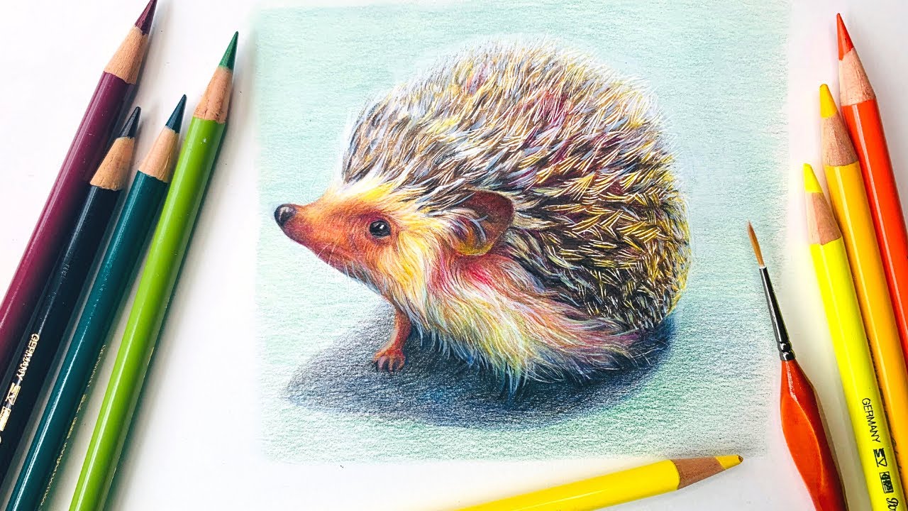 Colored pencil little hedgehog - YouTube