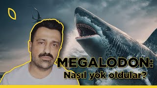 Megalodonlar nasıl yok oldular?