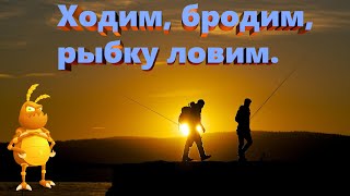 В поисках трофея. Ходим бродим, рыбку ловим.  Русская рыбалка 4. Russian Fishing 4.