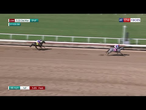 Del Mar Race Results